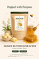 🍯 HONEY BUTTER EVER AFTER Honey Butter — Popped Sorghum